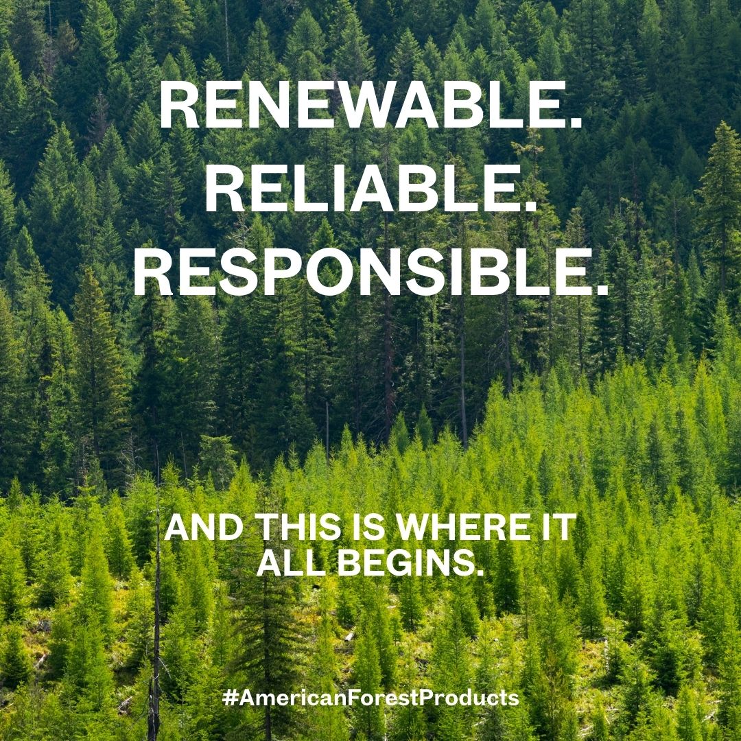 Washington's working forests are carefully managed to ensure a reliable &amp; renewable supply of wood products. WFPA members are proud to provide the products society needs, while supporting wildlife habitat, clean air, clean water, &amp; jobs. #workingforests #ModernAmericanForestry