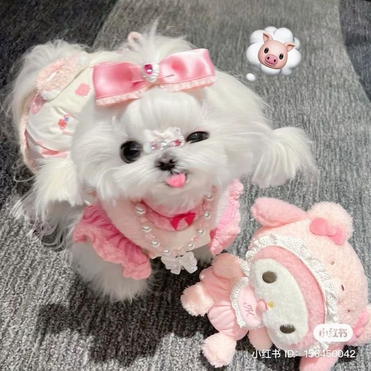 พ้อมทำงาน                                  พ้อมไปหาศิลปิน