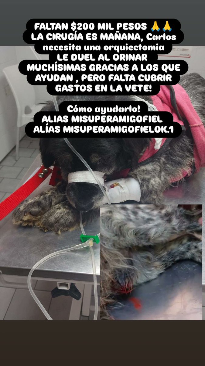 misuperamigo's tweet image. mpago.la/1XkQBfo
 200
mpago.la/1NzU928
400
mpago.la/1da82Fh
500
mpago.la/2MBeW1a
800
mpago.la/2ngesTF
1000
mpago.la/2WMFzqq
1500
mpago.la/16deVD5
2000
mpago.la/2fp2ip2
3000
mpago.la/1515NfB
4000