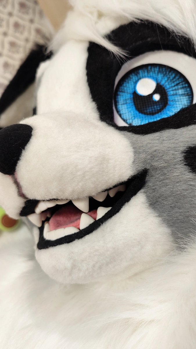 KrafiCat tweet media