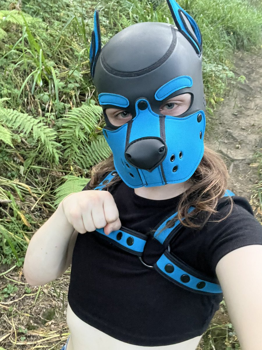 Pup Newt tweet media