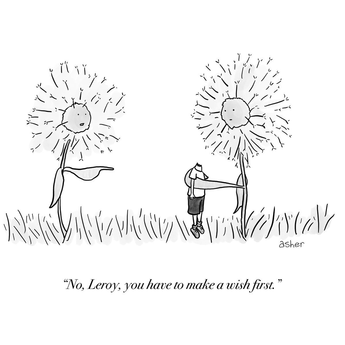 asherperlman's tweet image. 