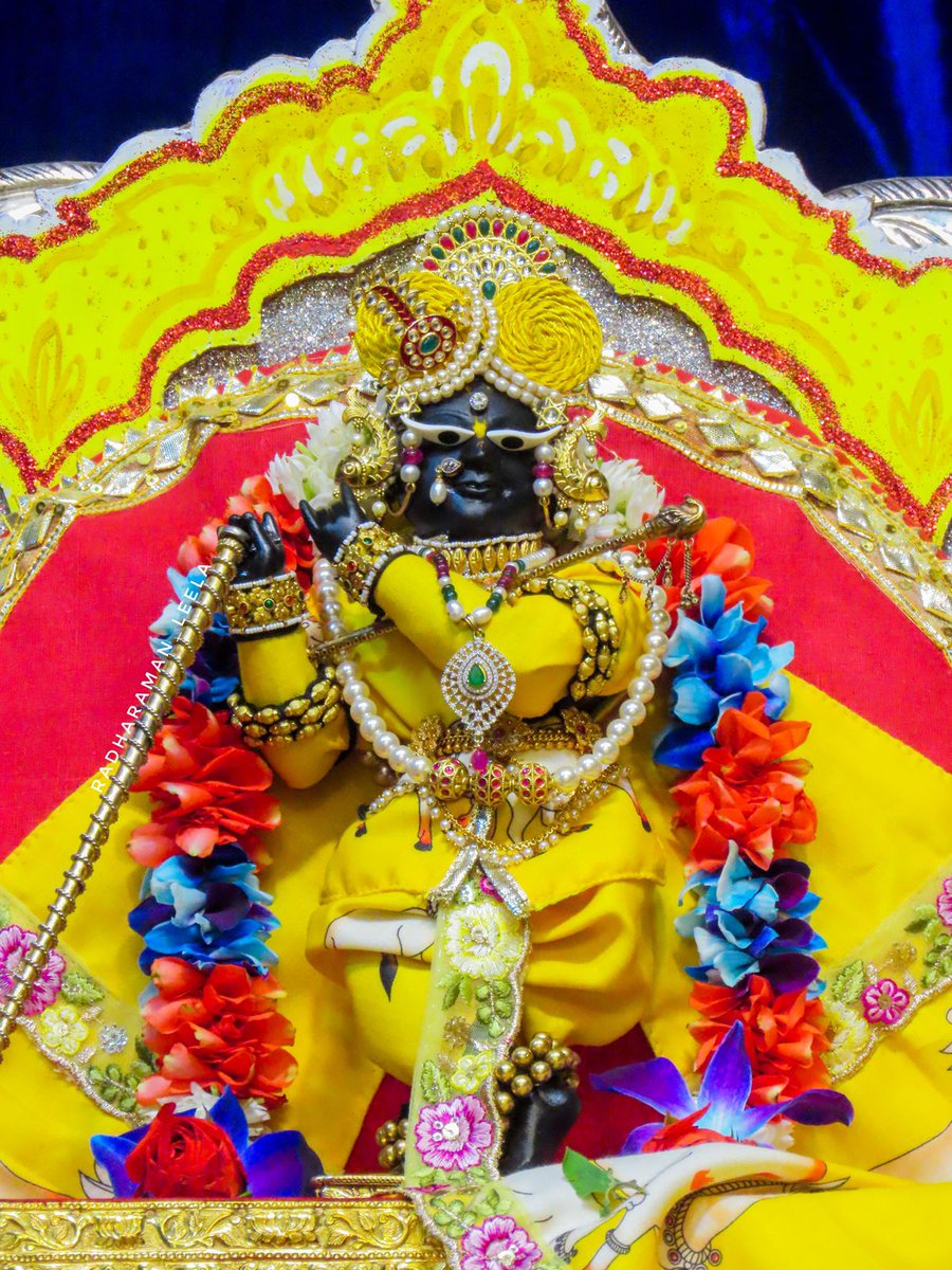 वृन्दावन धाम से प्राणधन श्रीराधारमण लाल जू के संध्या दर्शन । जय जय श्रीराधे 🙏❤️