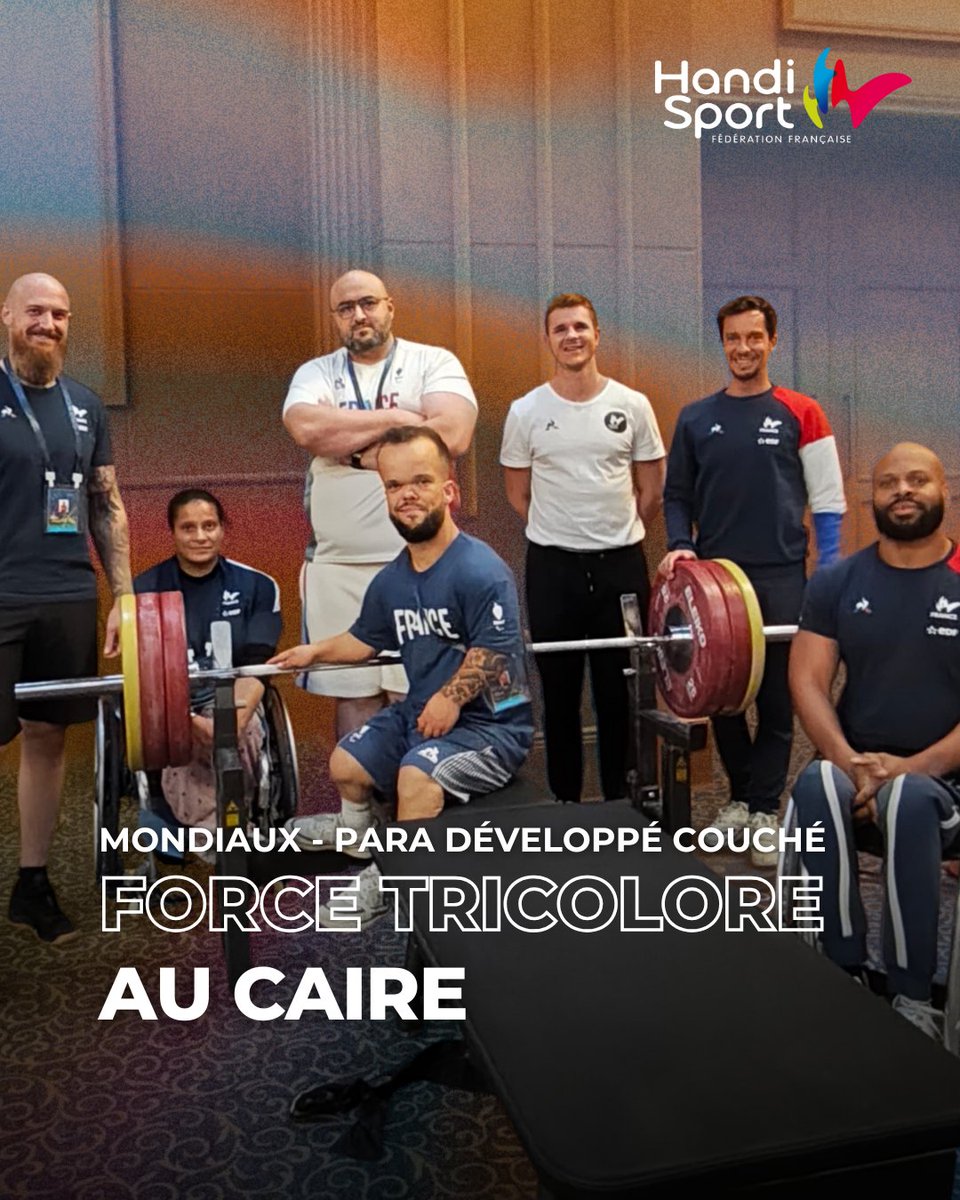 FFHandisport tweet media