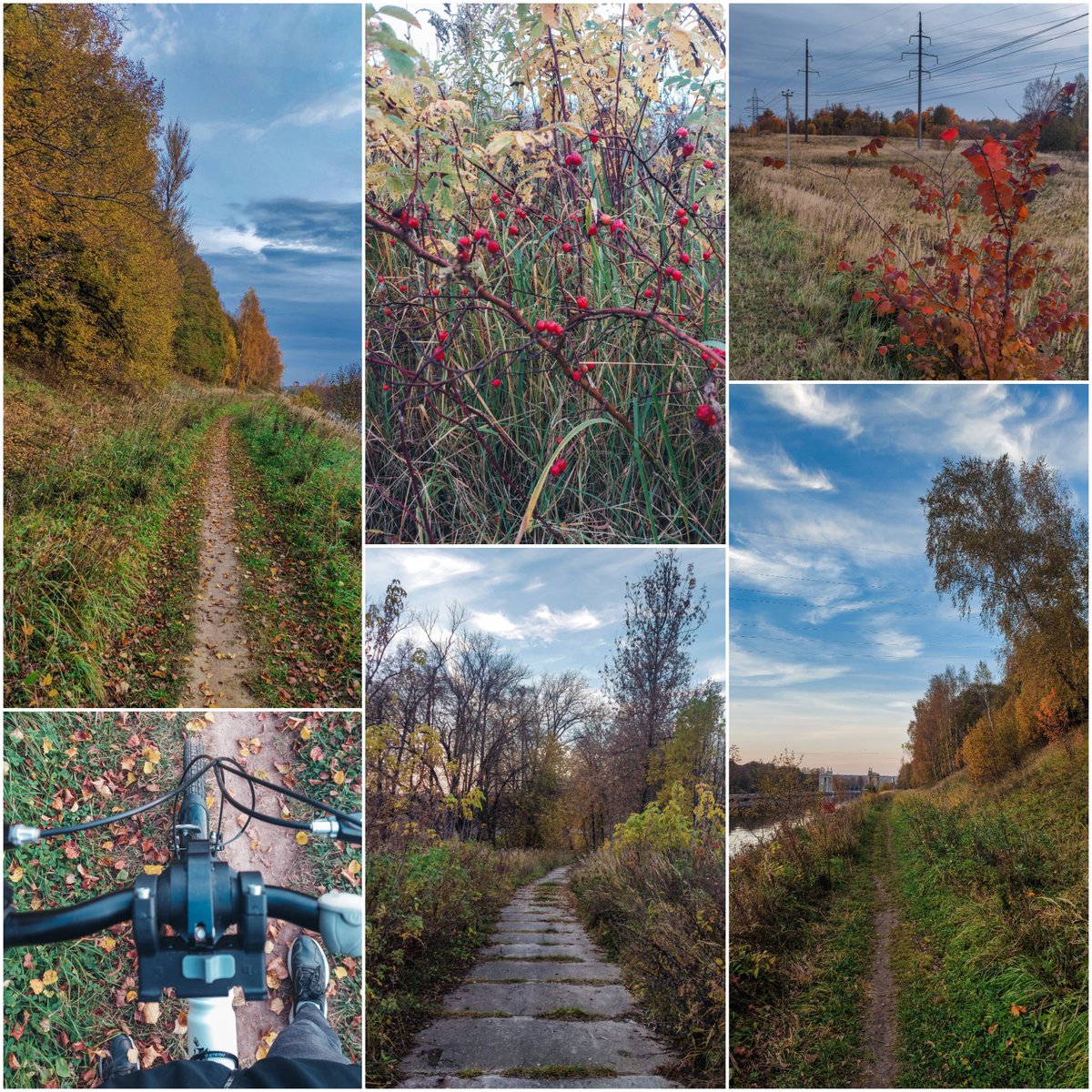 Alina Morrele 🖤 tweet media