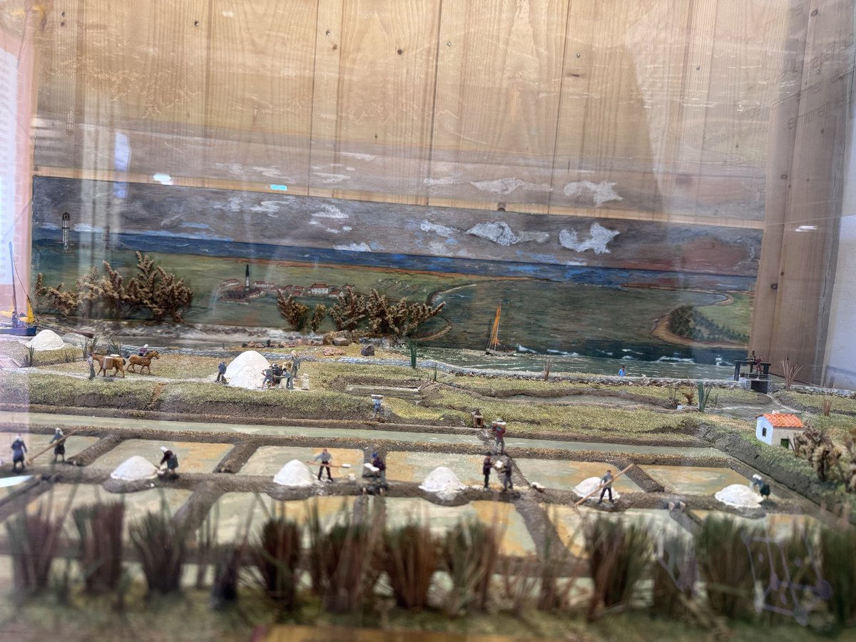 be_erasmus's tweet image. Den heutigen Donnerstag haben wir genutzt, um die Insel Rê zu besuchen. Gemeinsam mit unseren Partnerschülern lernten wir viel über Salzgewinnung, Küstenschutz, Flora &amp;amp; Fauna und die Bedeutung der Insel im historischen Kontext. #Grundschule_Klosterfelde #be_erasmus #ErasmusPlus