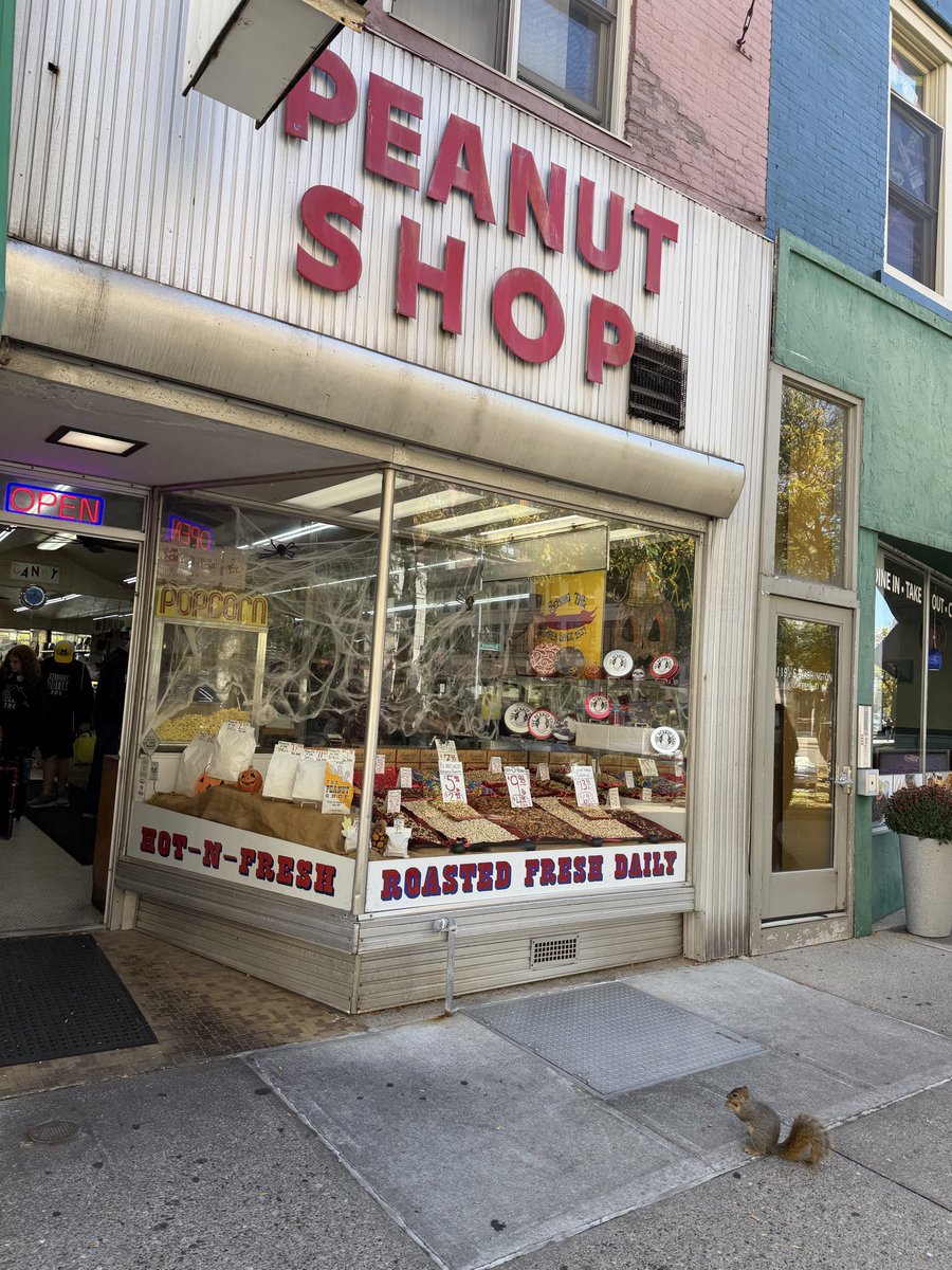 Stefanie Pohl 👩🏻 tweet media