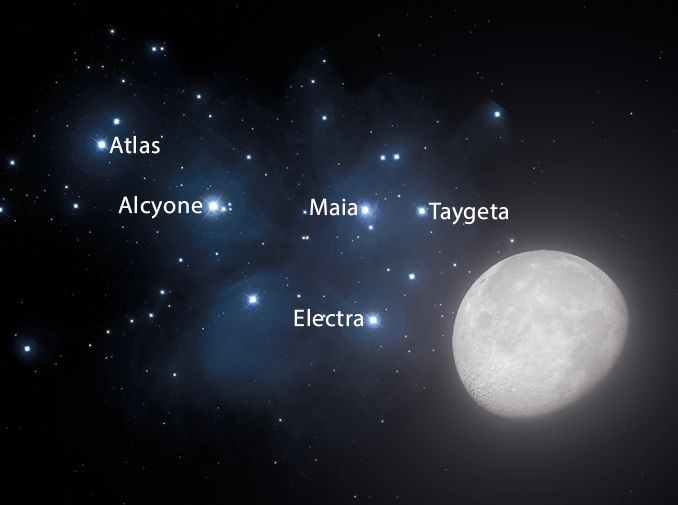 AstronomyNow's tweet image. 👀 Astronomy, NOW! The #Moon buzzes the bright Pleiades cluster on the night of 9-10 October, creating this lovely scene for naked eye observers. 

Graphic shows the scene at 06:00 BST on 10 Oct. Credit: #AstronomyNow /Greg Smye-Rumsby

#AstronomyForEveryone