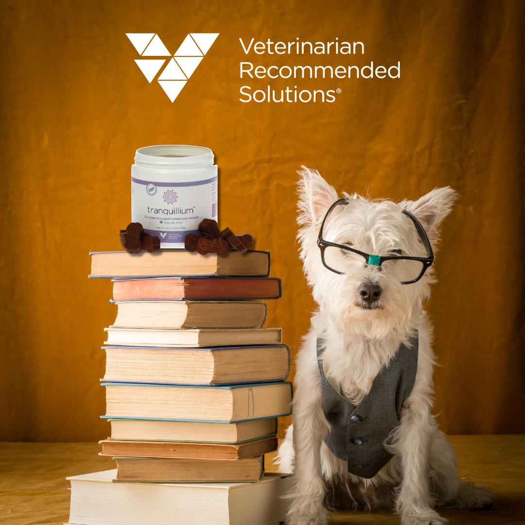 VRSPets's tweet image. Back to school can be an adjustment for pets too. 🐶🐱 
Try these tips:
✔️ Keep feeding and med times consistent.
✔️ Add play and enrichment to burn off energy.
✔️ Create a cozy quiet space.
✔️Ask your vet about Tranquillium™ to support calm behavior during routine changes!