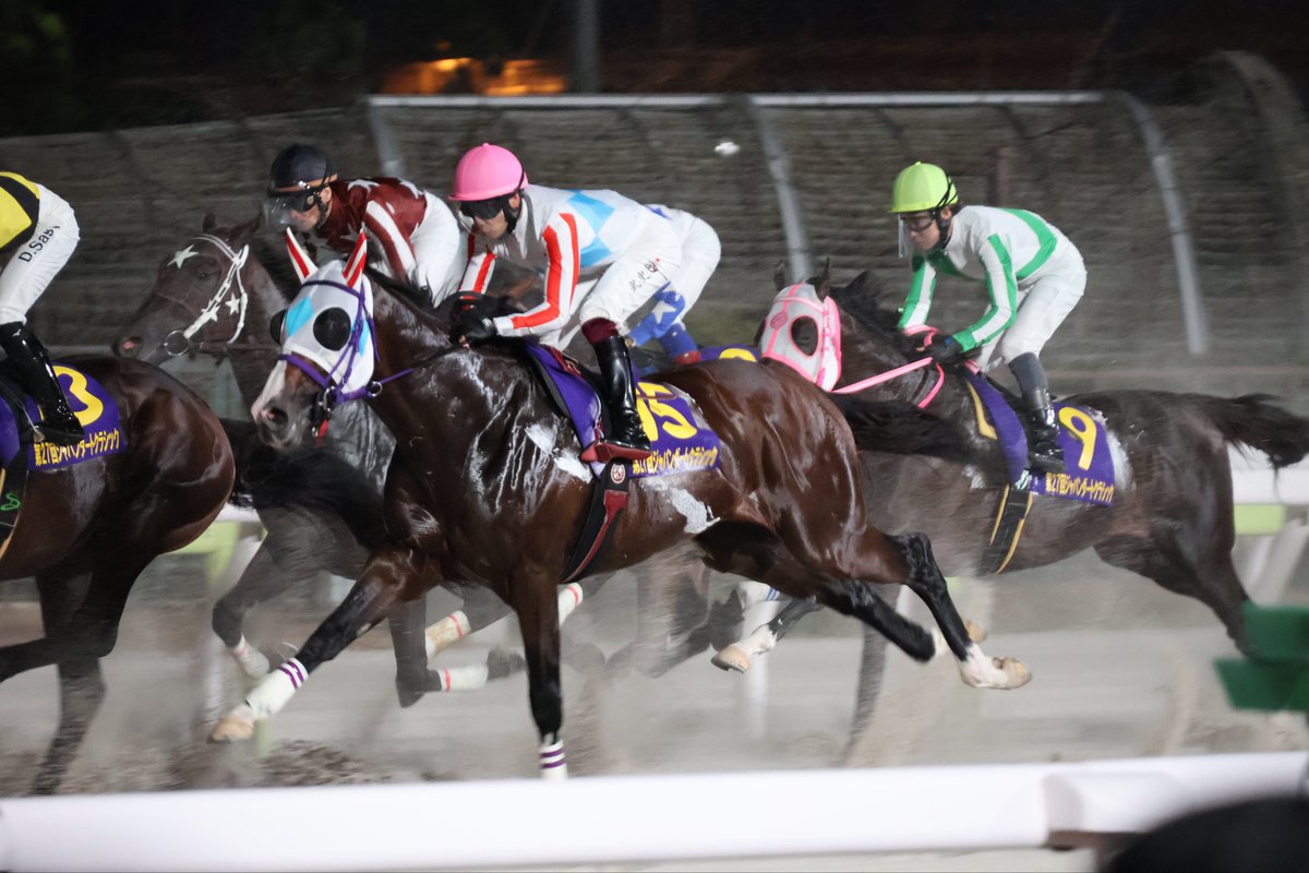 Air_1239's tweet image. 20251008 11R
第27回 ジャパンダートクラシック(Jpn I)
ナチュラルライズ🥈
#TCK
#大井競馬場
#横山武史騎手