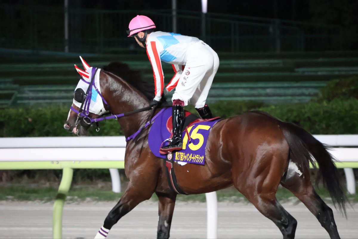 Air_1239's tweet image. 20251008 11R
第27回 ジャパンダートクラシック(Jpn I)
ナチュラルライズ🥈
#TCK
#大井競馬場
#横山武史騎手