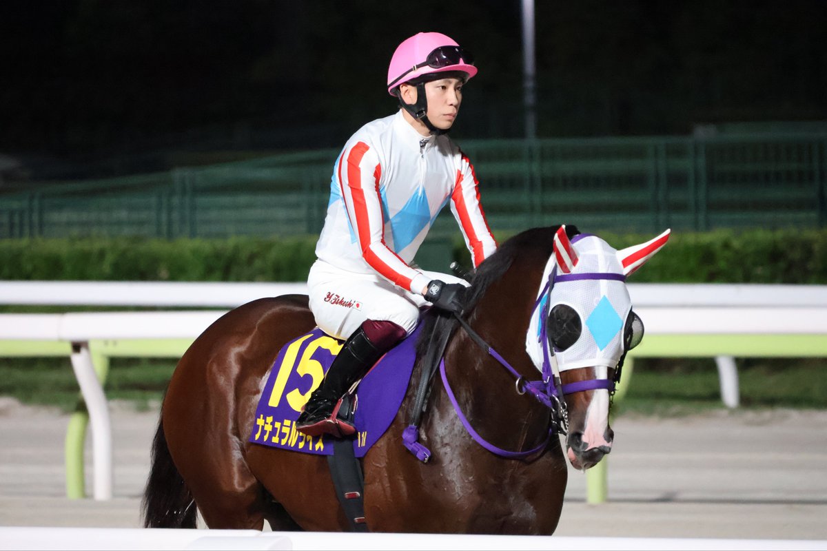 Air_1239's tweet image. 20251008 11R
第27回 ジャパンダートクラシック(Jpn I)
ナチュラルライズ🥈
#TCK
#大井競馬場
#横山武史騎手