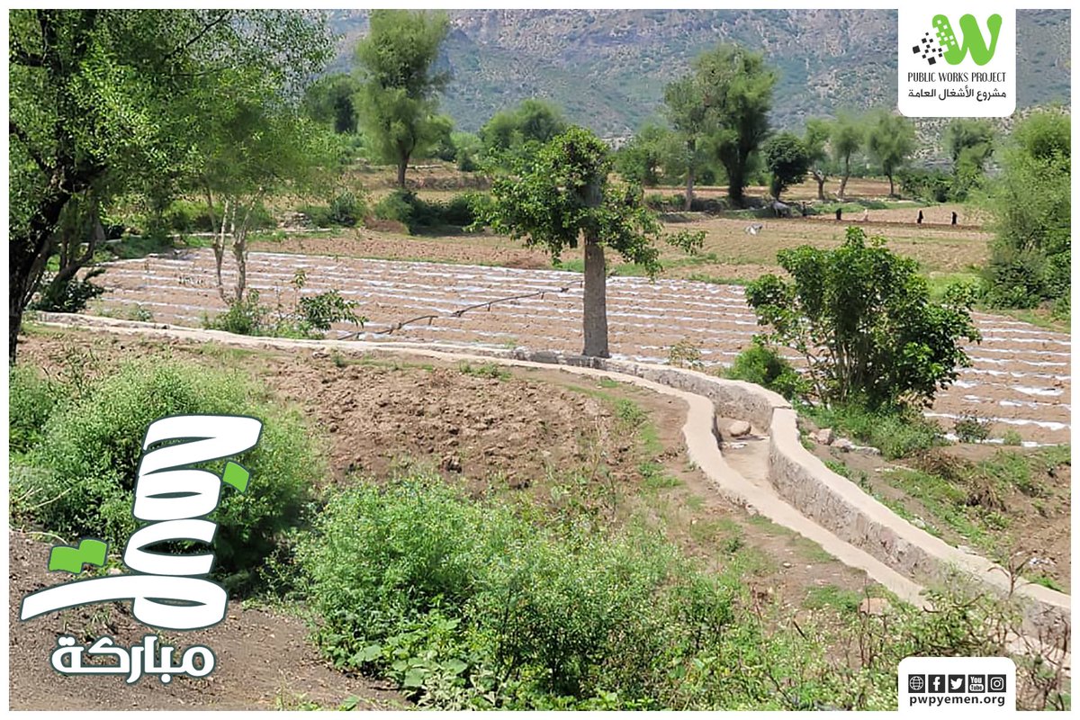 PWPYEMEN's tweet image. الأرض الزراعية مصدر عيش غالبية اليمنيين، وحمايتها من التغيرات المناخية هو دعم  الحياة والعيش الكريم.

جمعة مباركة

#مشروع_الأشغال_العامة
#PWP
#Public_Works_Project