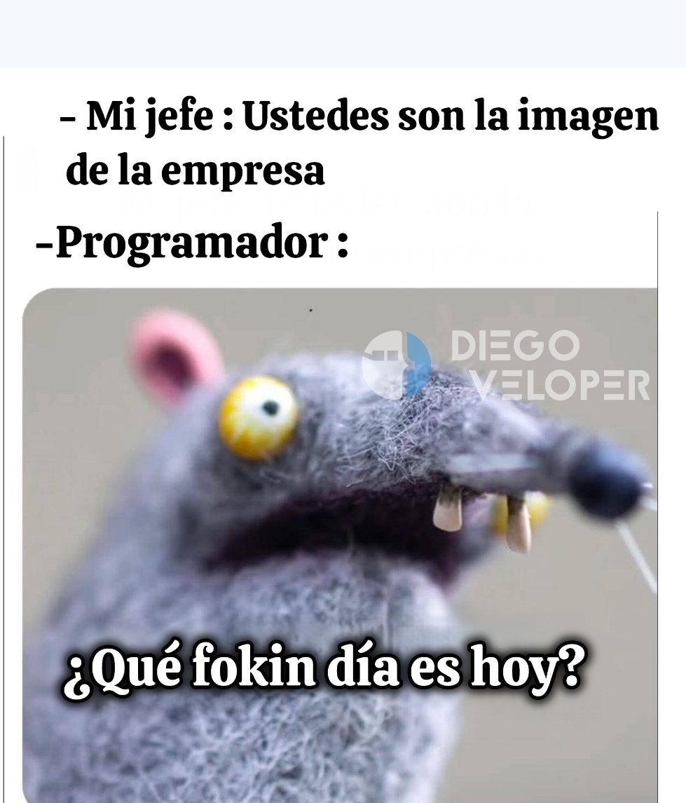 memeveloper's tweet image. 
