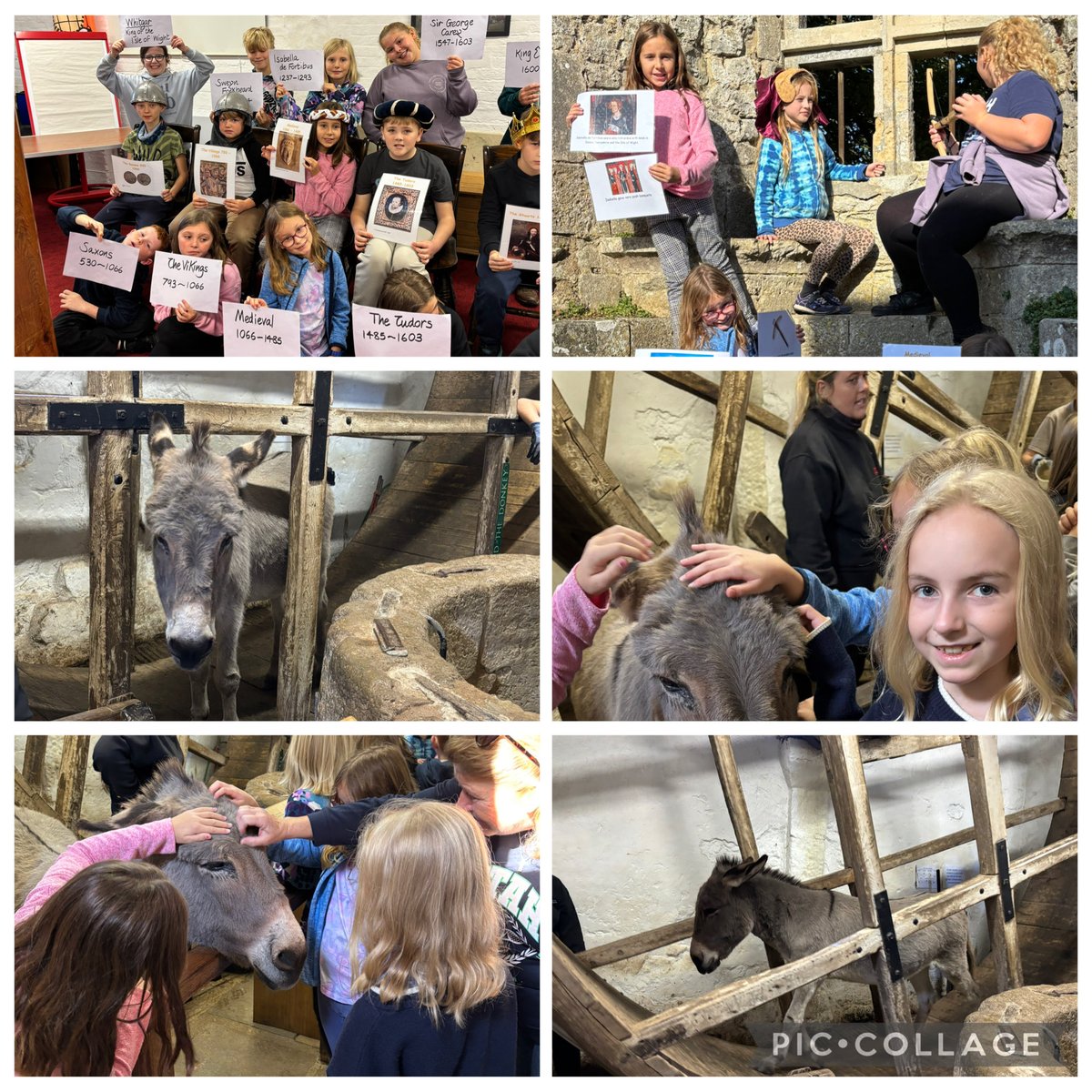 A few from our  last full day in the glorious IOW sunshine. #IOW2025