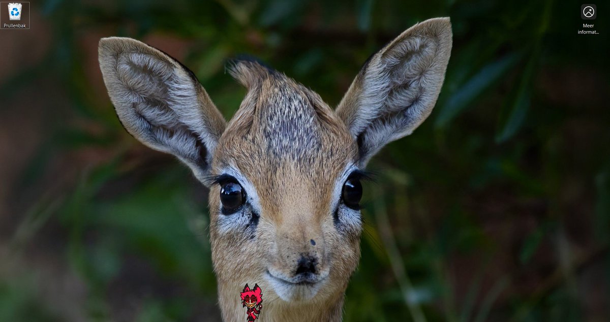 alastor your cousin is behind you look please look