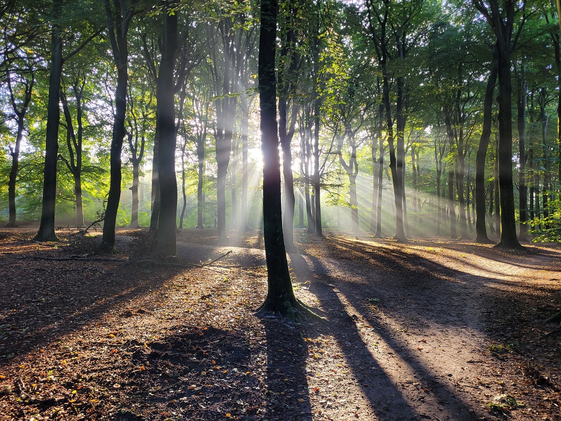 Het was even stil op ededorp maar we gaan gewoon weer door! Waarom was het stil? Lees het hier: ededorp.nl/douwe/weduwnaa…