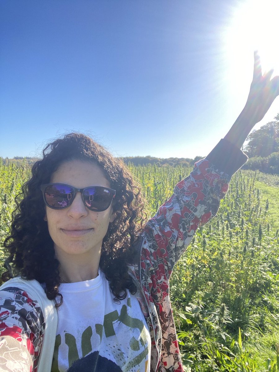 Harvest time 🌿 We’re out in the fields every day, harvesting and drying our hemp with love &amp; care. 

Grateful to everyone helping us bring in this beautiful crop! 💚
#HempHarvest #RegenerativeFarming #Hempen