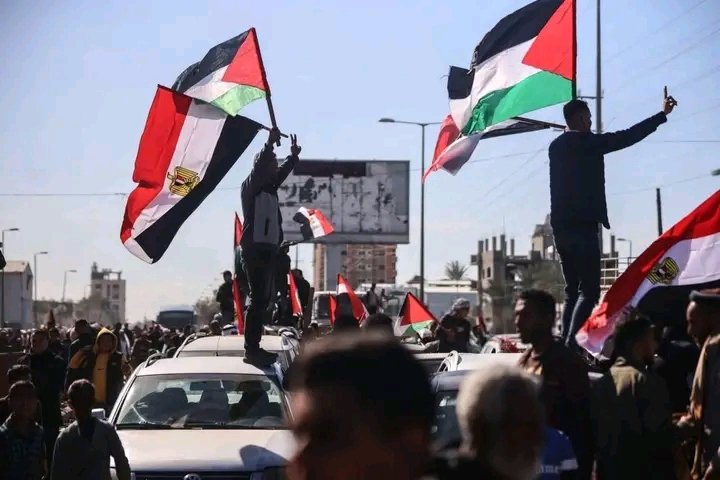 dodgy15's tweet photo. الحدث في غرْه والفرحة في قلوبنا 🥹
سَلَامٌ عَلَيْكُم بِمَا صَبَرْتُمْ ۚ فَنِعْمَ عُقْبَى الدَّار ♥️🇵🇸 🇪🇬
تحرير غزة ووقف اطلاق النار
اللهم ديم عليهم فرحتهم 🤲 https://t.co/0FP7WISWhh