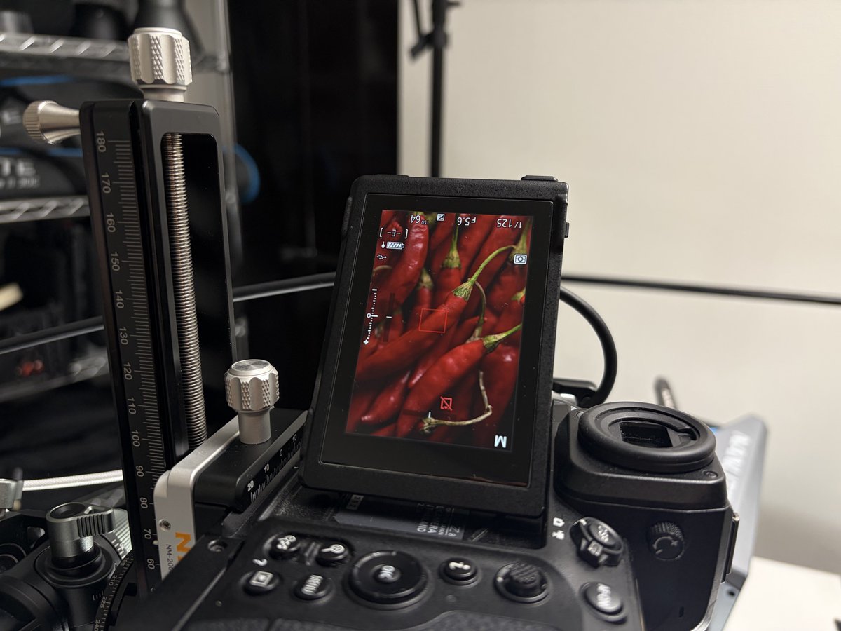 クロカワリュート tweet media