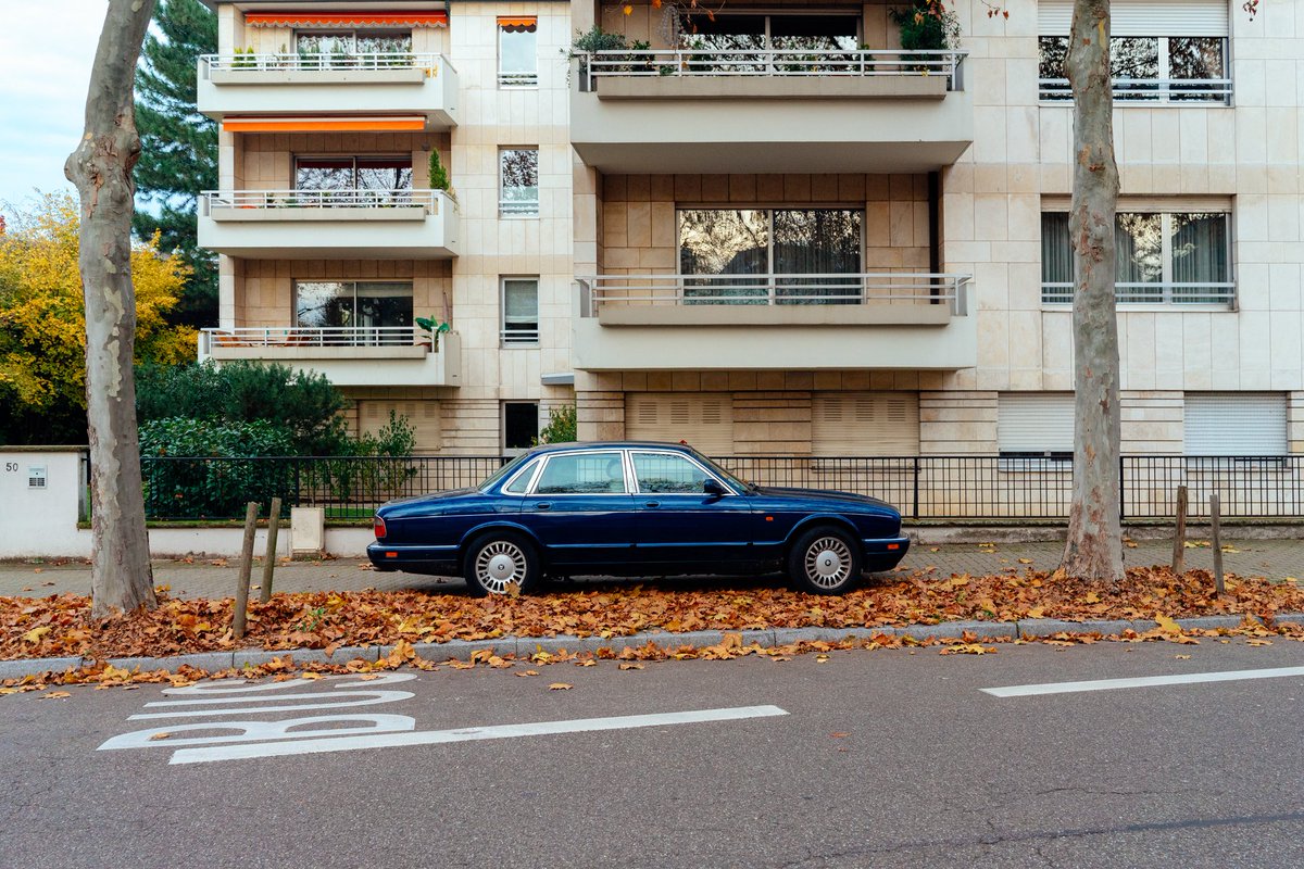 devisu_art's tweet image. L'automne et ses couleurs 🍁