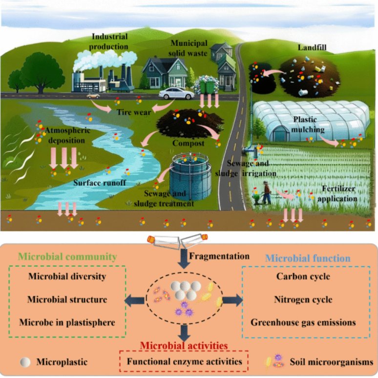 BMCBiology's tweet photo. “Microplastics and soil microbiomes”

New #openaccess review in BMC Biology on impacts of #microplastics on the soil #microbiome - and vice versa - from ecological risks to mitigation strategies.

https://t.co/H9mkv75h0B https://t.co/zt0sRMAse0