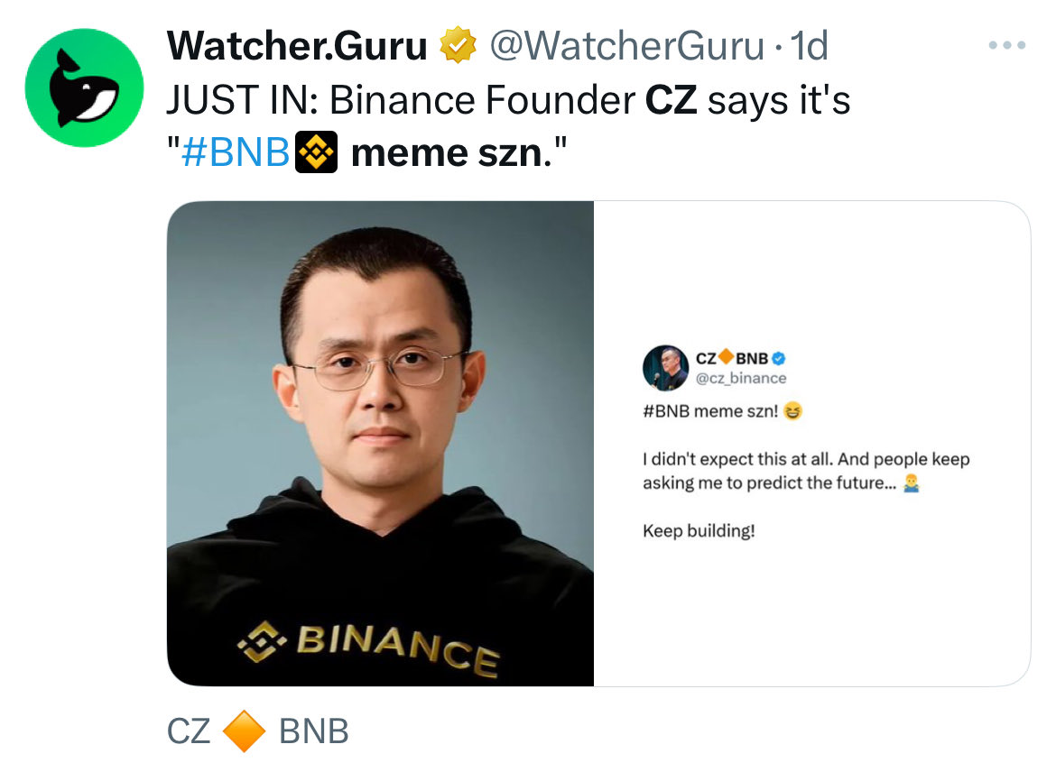 BNB 迷因币链上鲸鱼持仓分析
