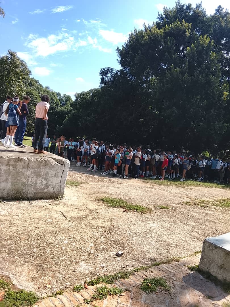 FEEM de Cuba ✌️🇨🇺 tweet media