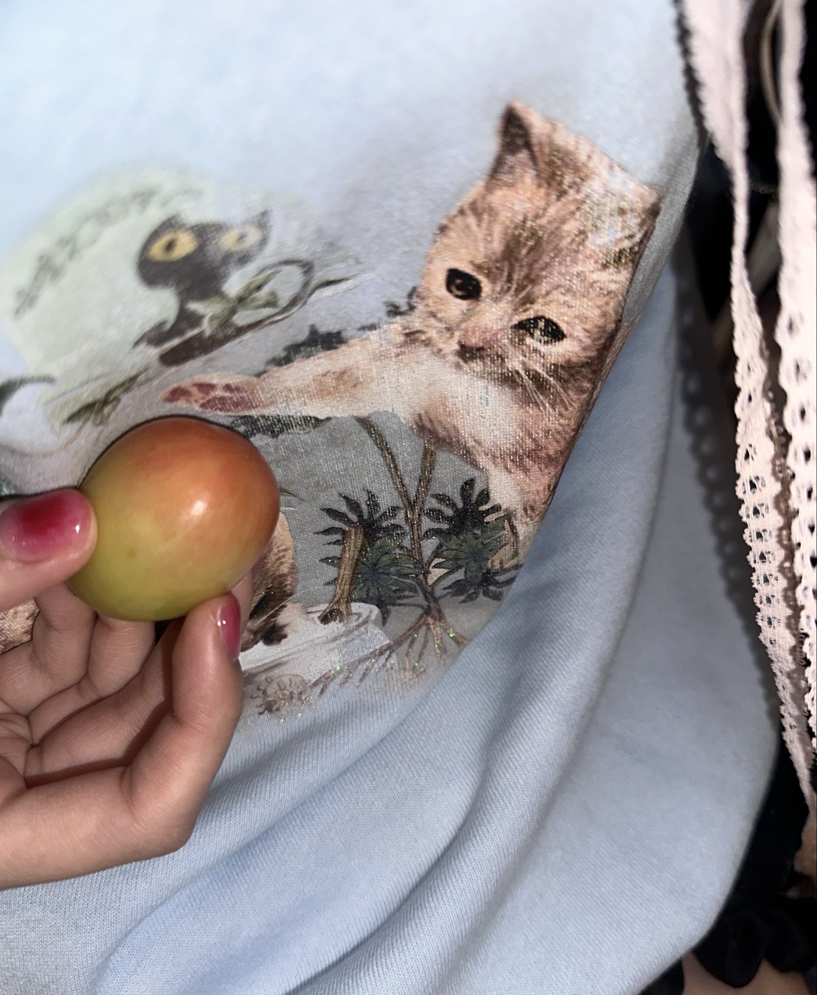 ACAねこよくわかる読解スキル (ずっと真夜中でいいのに