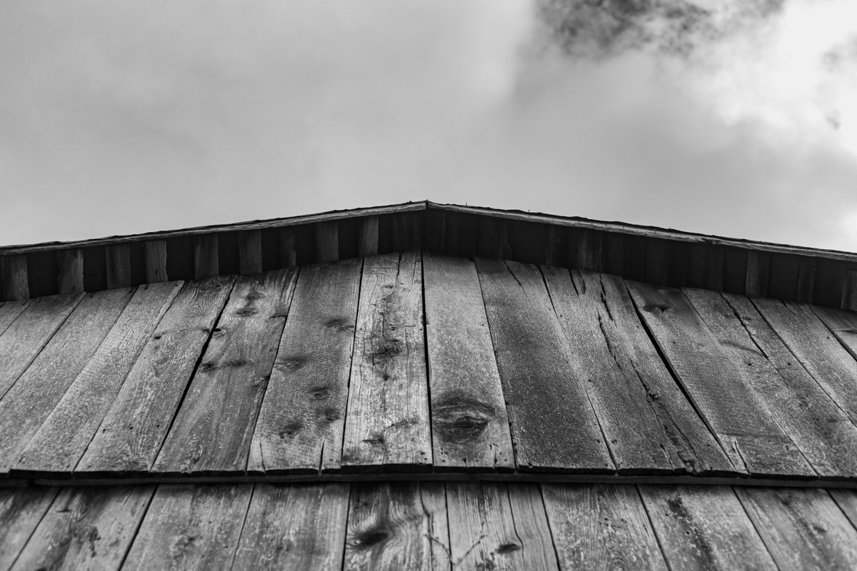 JuliaM987's tweet photo. Canon R6 Mark II - Cold Fall Day Photography Challenge | Pieces around the farm. (1 of 3)

https://t.co/reujLxJatu
YouTube: Julia M. McClurg

@CanonUSA #canonphotography #canonr6 #canonr6markii #canonr6photography #photography #photooftheday #outdoorphotographer #abondoned #farm https://t.co/204qYL75nX