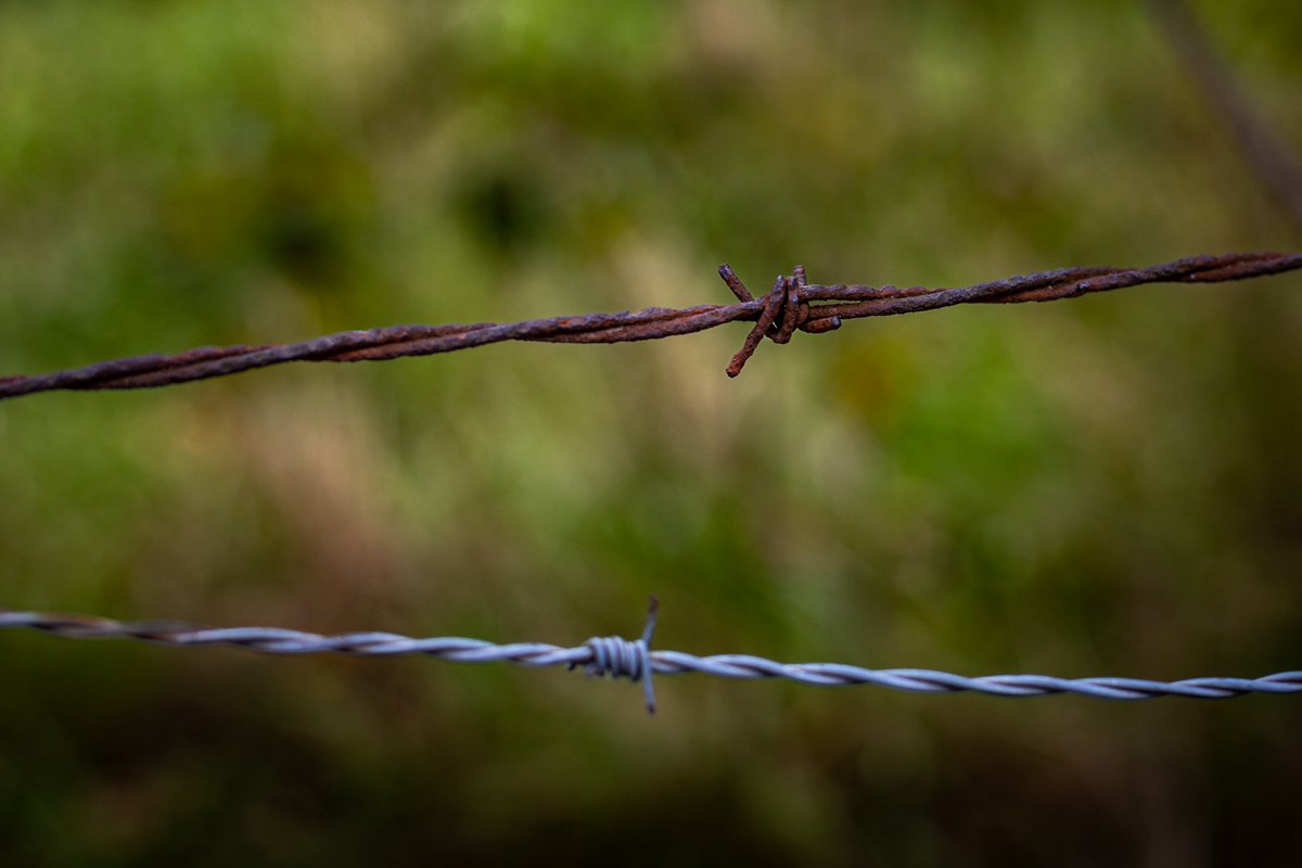 JuliaM987's tweet photo. Canon R6 Mark II - Cold Fall Day Photography Challenge | Pieces around the farm. (2 of 3)

https://t.co/reujLxJatu
YouTube: Julia M. McClurg

@CanonUSA #canonphotography #canonr6 #canonr6markii #canonr6photography #photography #photooftheday #outdoorphotographer #abondoned #farm https://t.co/1VptMe9jOc