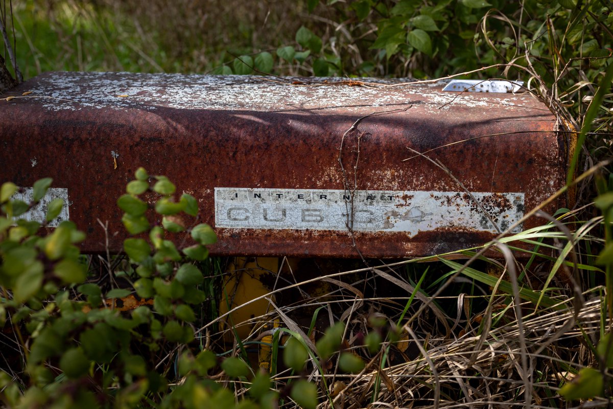 JuliaM987's tweet photo. Canon R6 Mark II - Cold Fall Day Photography Challenge | Pieces around the farm. (2 of 3)

https://t.co/reujLxJatu
YouTube: Julia M. McClurg

@CanonUSA #canonphotography #canonr6 #canonr6markii #canonr6photography #photography #photooftheday #outdoorphotographer #abondoned #farm https://t.co/1VptMe9jOc