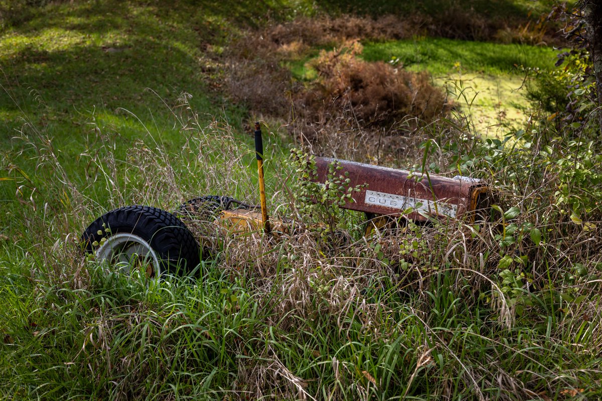 JuliaM987's tweet photo. Canon R6 Mark II - Cold Fall Day Photography Challenge | Pieces around the farm. (2 of 3)

https://t.co/reujLxJatu
YouTube: Julia M. McClurg

@CanonUSA #canonphotography #canonr6 #canonr6markii #canonr6photography #photography #photooftheday #outdoorphotographer #abondoned #farm https://t.co/1VptMe9jOc