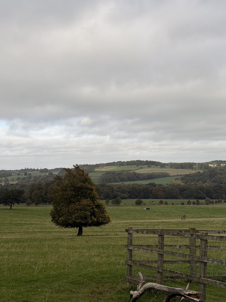 First ever visit to <a href="/YSPsculpture/">Yorkshire Sculpture Park</a> A great way to spend the day!
