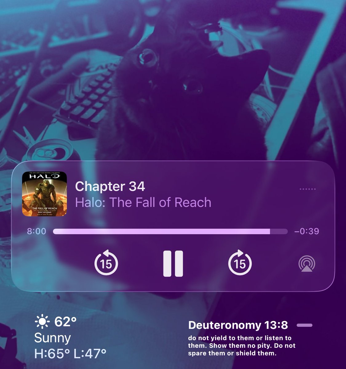 codashot's tweet image. Happy Thursday. 🌐