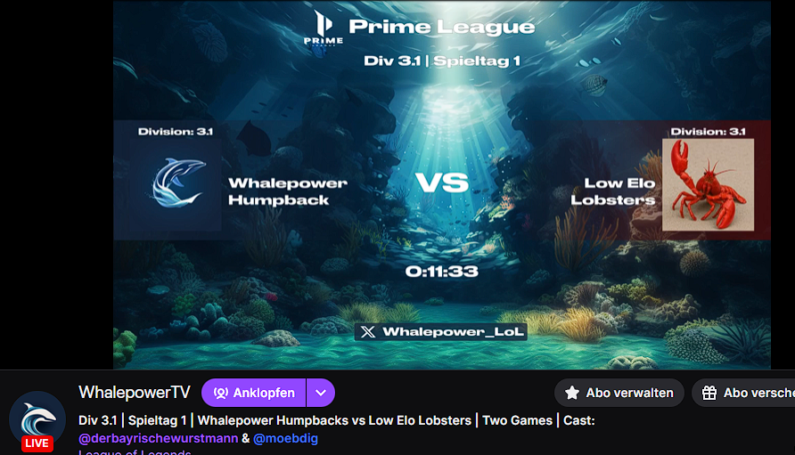 Die neuen alten Humpbacks sind da!
Rein ins Wasser!