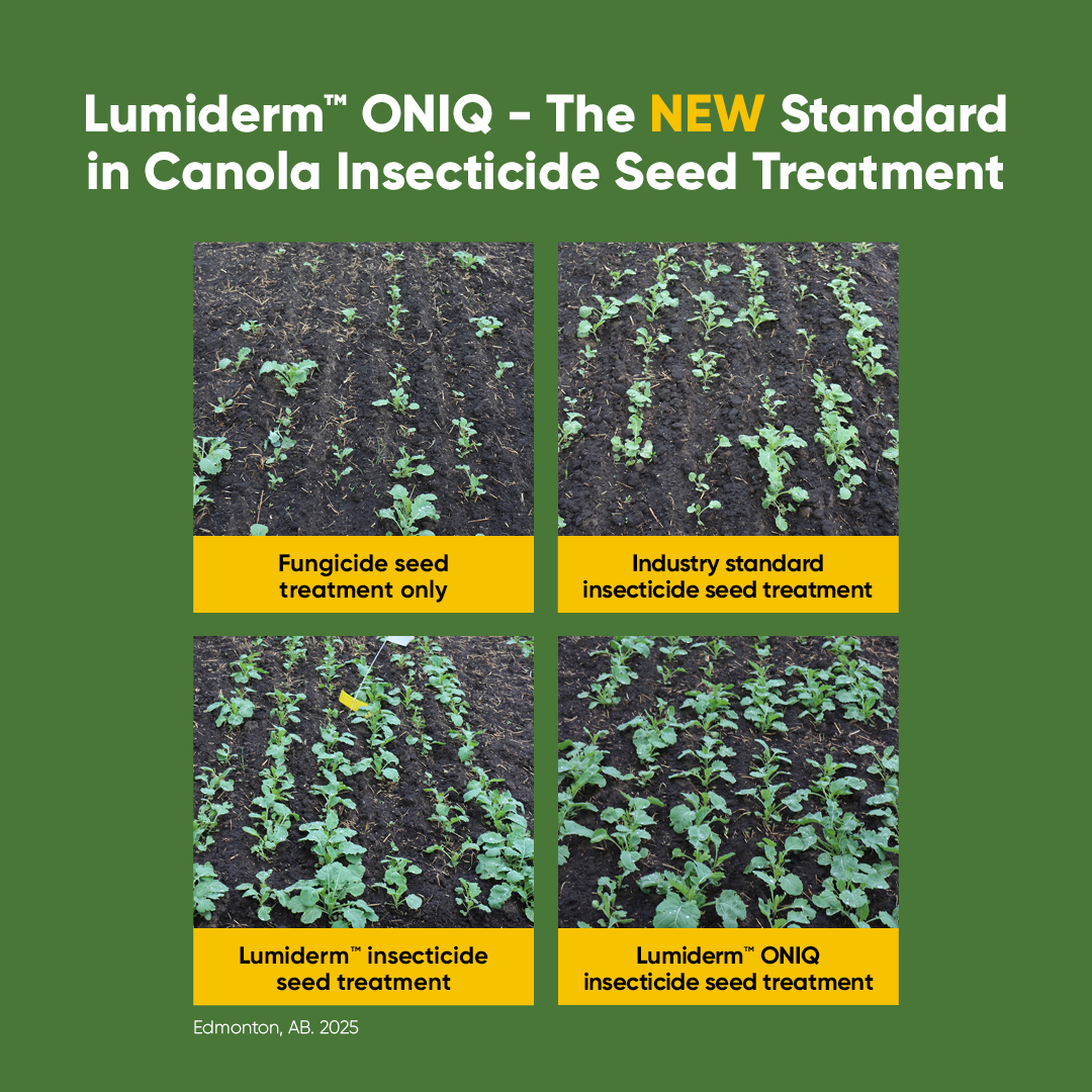 Pioneer Seeds Canada tweet media