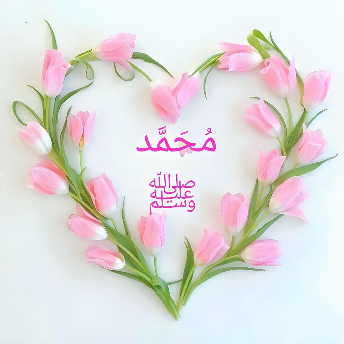 من أينَ أبدأ والحديثُ غــرامُ؟ 
فالشعرُ يقصرُ والكلامُ كلامُ.. 
من أينَ أبدأ في مديح محمـــــــدٍﷺ؟
 لا الشعرُ ينصفهُ ولا الأقلامُ
             الصلاة على النبيﷺ
شمس تُنير القلوب وعطر يملأ الأرواح 
وسكينة وطمأنينة🤍
صلّوا عليه وسلّموا تسليما..