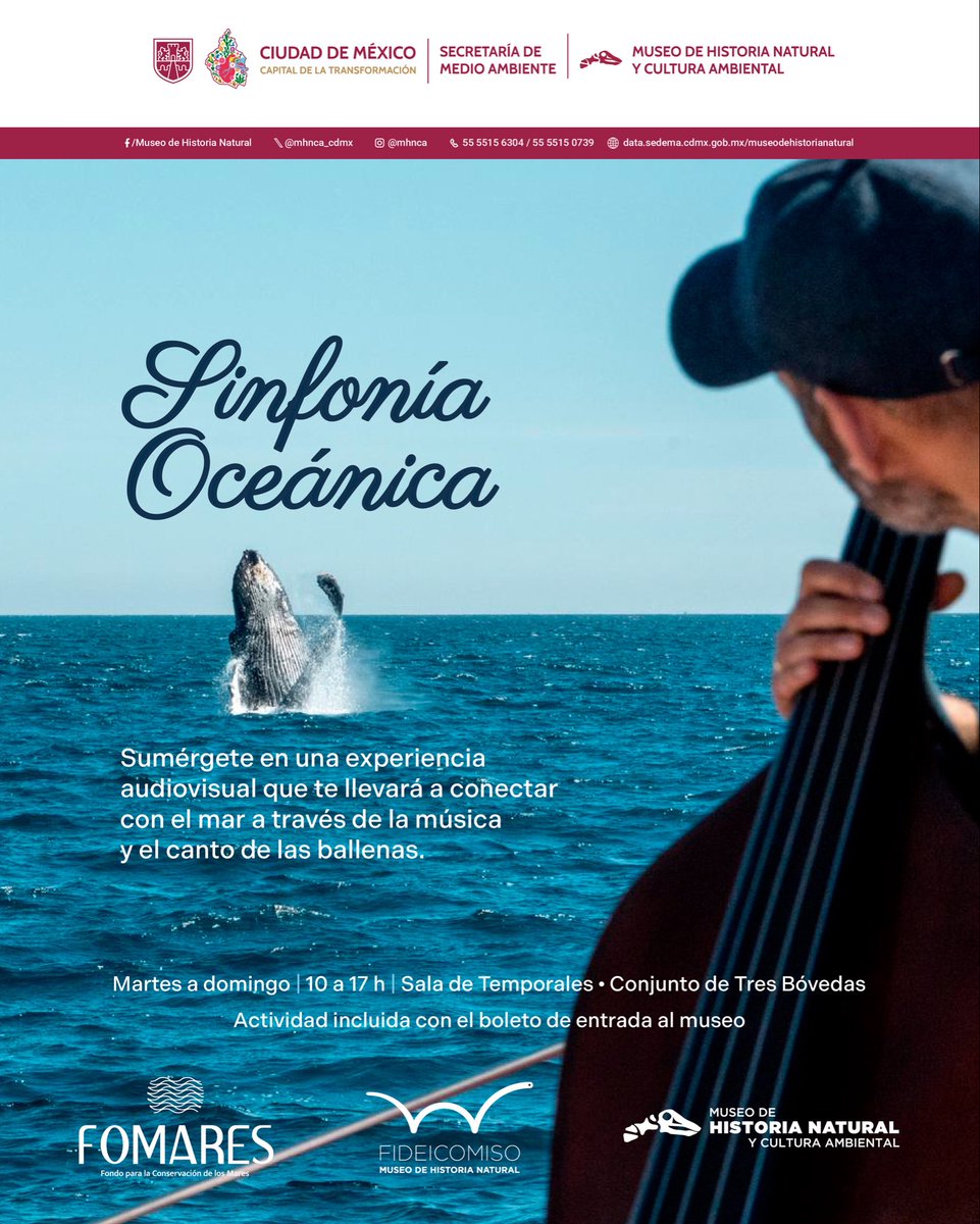 Historia Natural MX (@mhnca_cdmx) on Twitter photo 