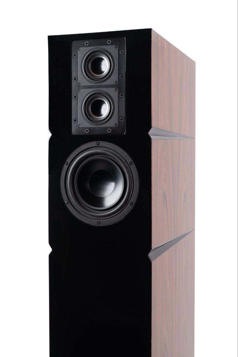 Audience tweet media