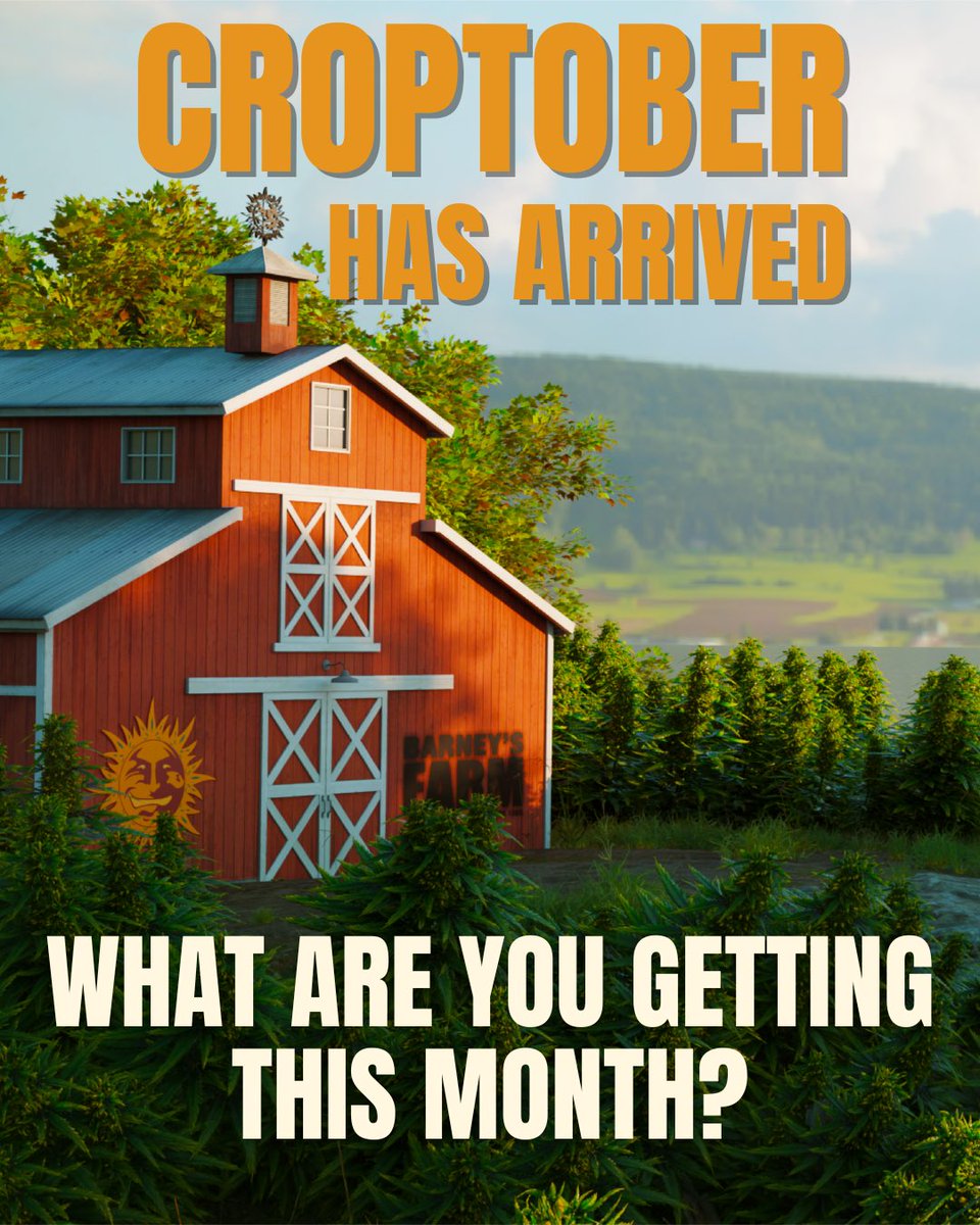 Barney's Farm tweet media