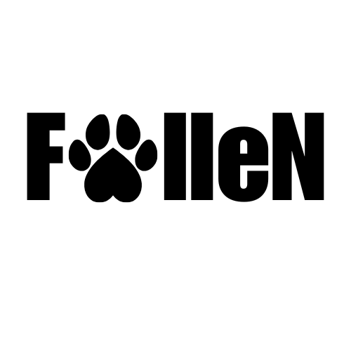 Brasil Storm CS tweet media