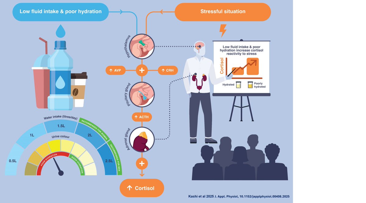 Neil Peter Walsh tweet media