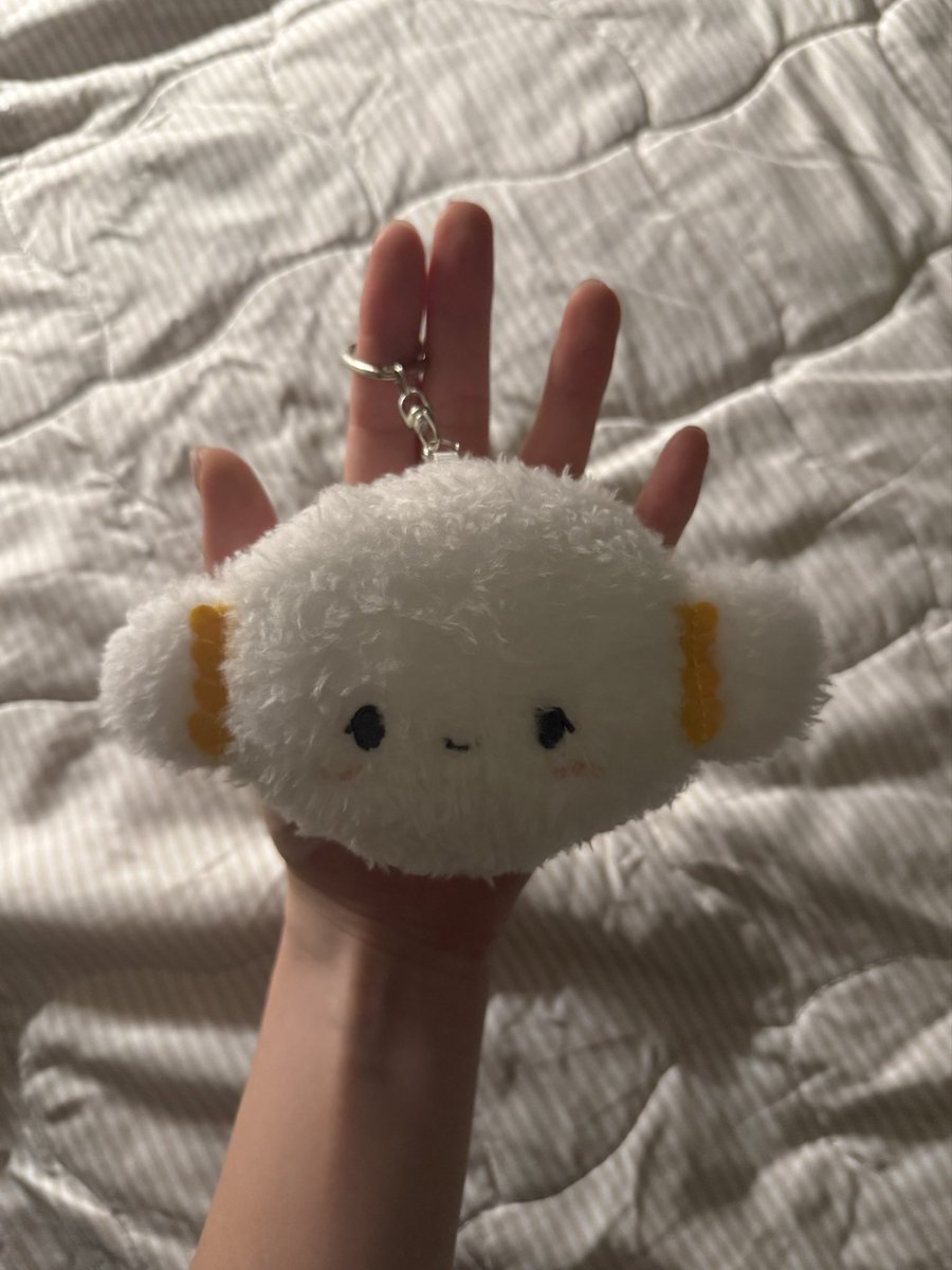 오늘 귀요미 입양했어욖