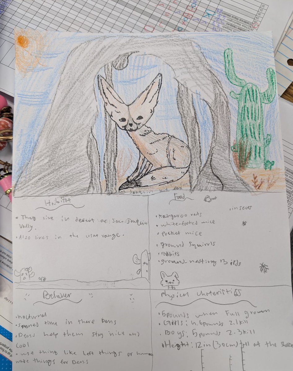 CSUBakersfield's tweet image. CSUB&apos;s Kit the Kit Fox has been seen around town. Here he&apos;s helping middle school students at Amy B. Seibert Elementary School learn about the San Joaquin Kit Fox. Chad Wohlgemuth and his fellow teachers at Amy B. Seibert have teamed up with Kit for a great science activity.