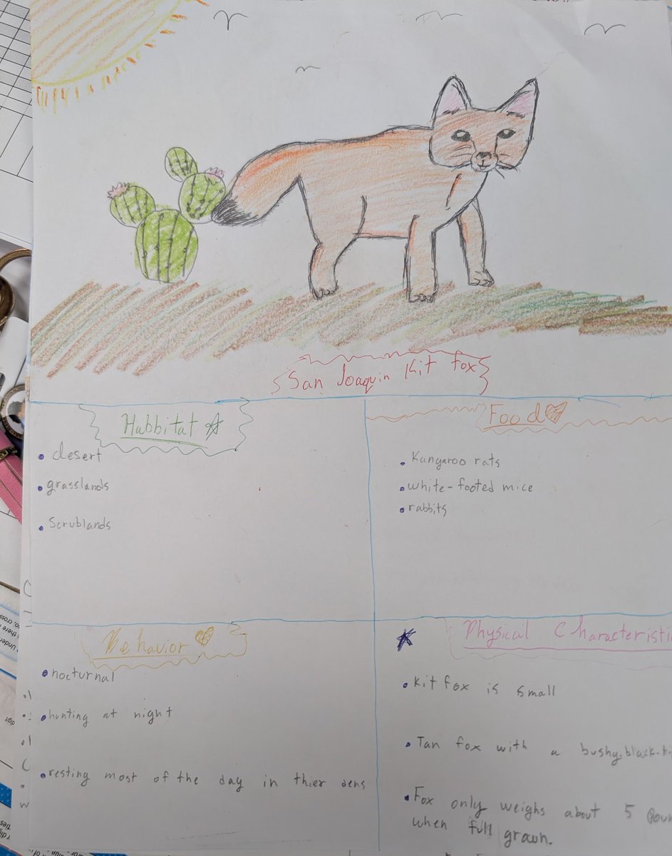 CSUBakersfield's tweet image. CSUB&apos;s Kit the Kit Fox has been seen around town. Here he&apos;s helping middle school students at Amy B. Seibert Elementary School learn about the San Joaquin Kit Fox. Chad Wohlgemuth and his fellow teachers at Amy B. Seibert have teamed up with Kit for a great science activity.