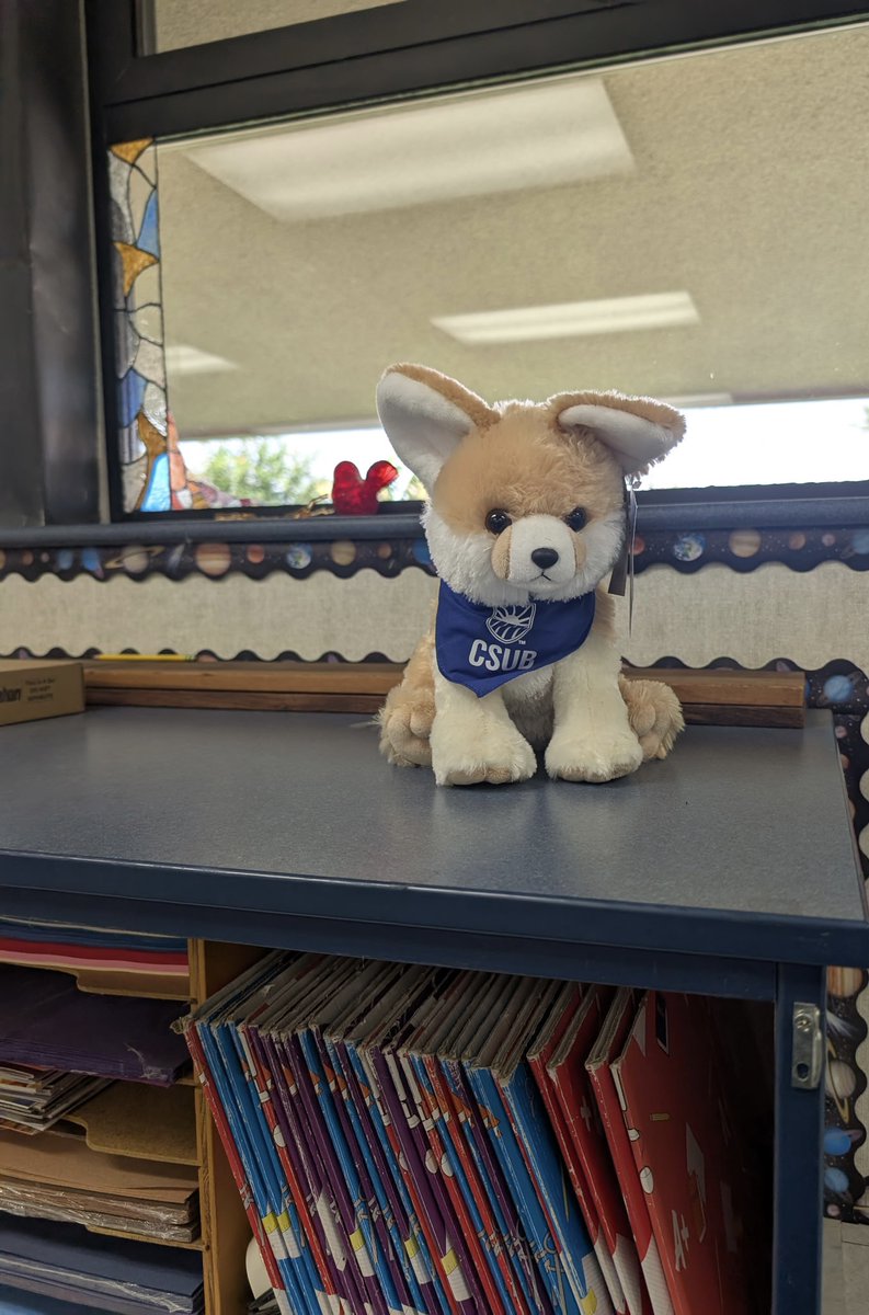 CSUBakersfield's tweet image. CSUB&apos;s Kit the Kit Fox has been seen around town. Here he&apos;s helping middle school students at Amy B. Seibert Elementary School learn about the San Joaquin Kit Fox. Chad Wohlgemuth and his fellow teachers at Amy B. Seibert have teamed up with Kit for a great science activity.