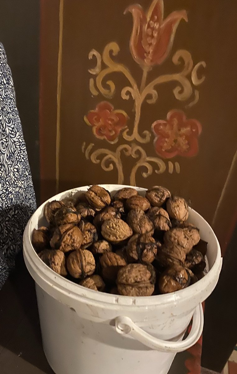 Hab mein Soll heute nicht erfüllt! So schnell war es finster!