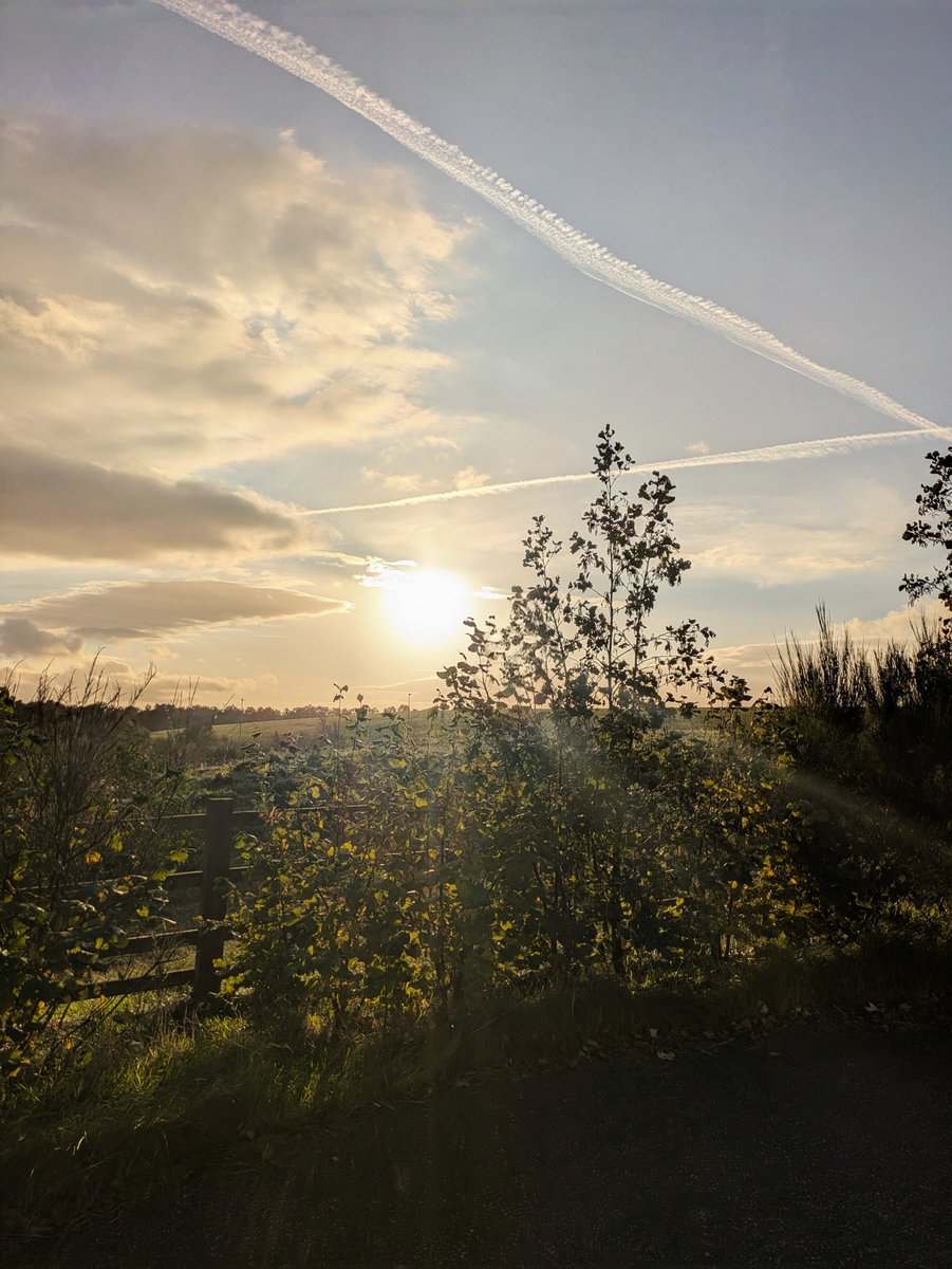 Justacarehomeg1's tweet image. The weight of #caring - professionally/ personally/ globally - is significant. Lately I&apos;ve been &apos;feeling&apos; too much, my compassion for others has exhausted me. Today though, a #SpacesForListening session reminded me that I&apos;m not alone &amp;amp; that boundaries come in all shapes &amp;amp; sizes.