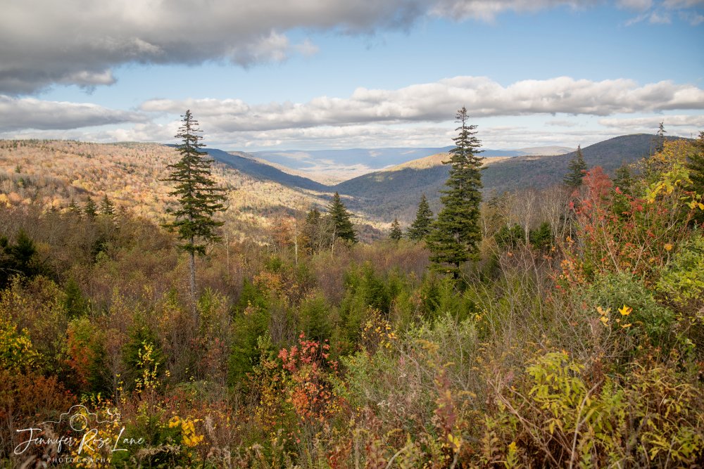 Jens_Starry_Sky's tweet image. A drive along the Highland Scenic Highway yesterday 🍂🍁 #fall #October #WV #FallinWV @StormHour @SpencerWeather @WSAZBrandon @GaudetWeather
